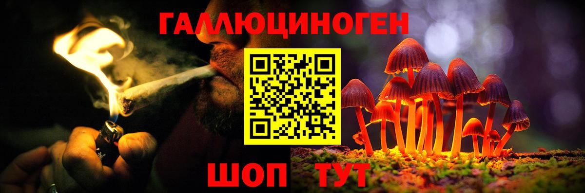 Псилоцибиновые грибы Psilocybe  как найти   Тобольск  Вход с VPN 